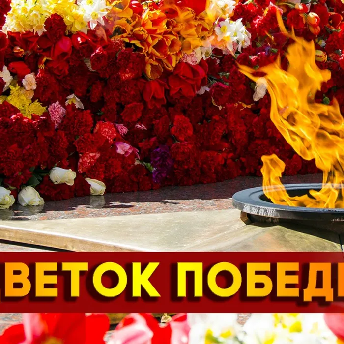 Создаём вместе цветы Победы