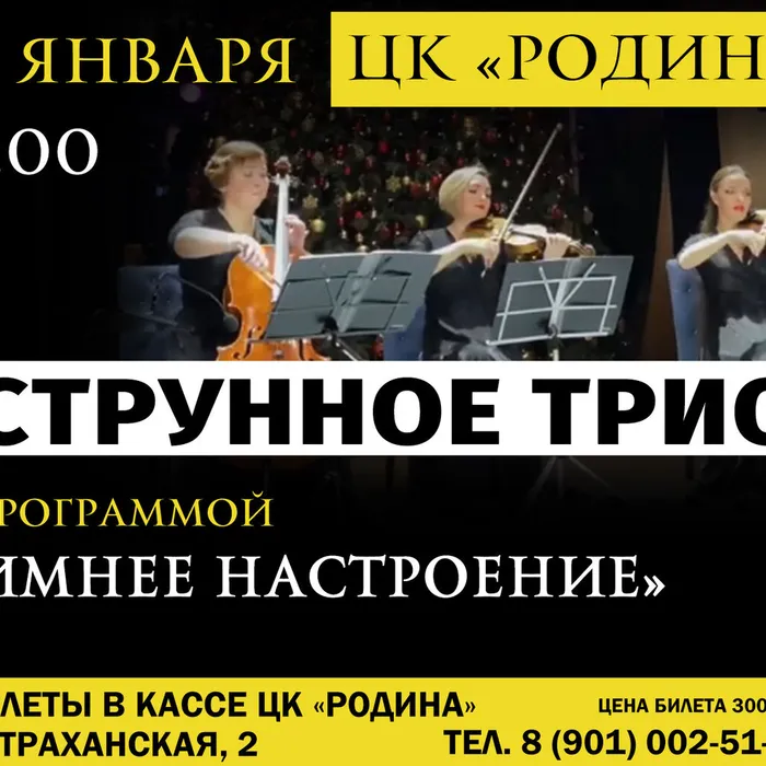 Не пропустите! Концерт Струнного трио!
