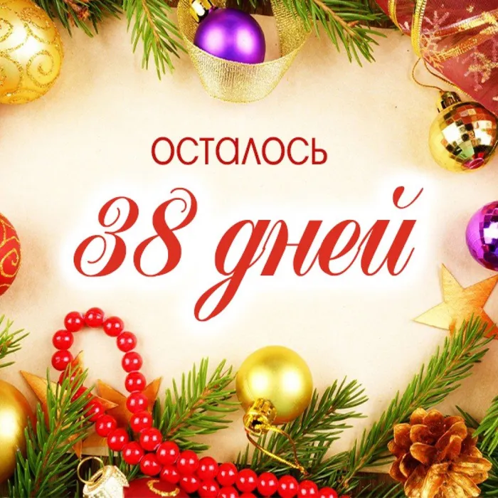"В лесу родилась ёлочка..."