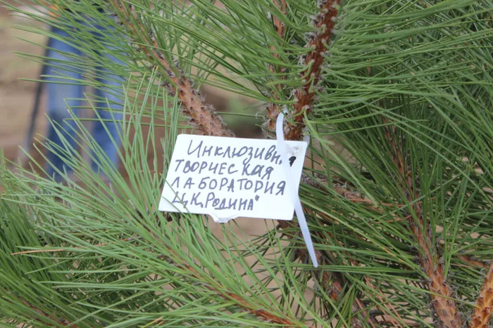 День добрых дел