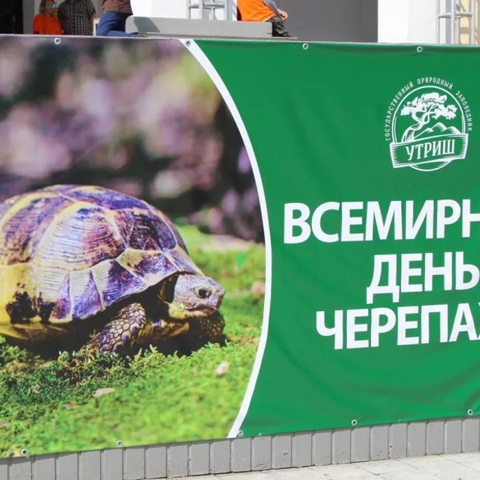 В Анапе прошел первый флеш-моб «Земля черепахи»