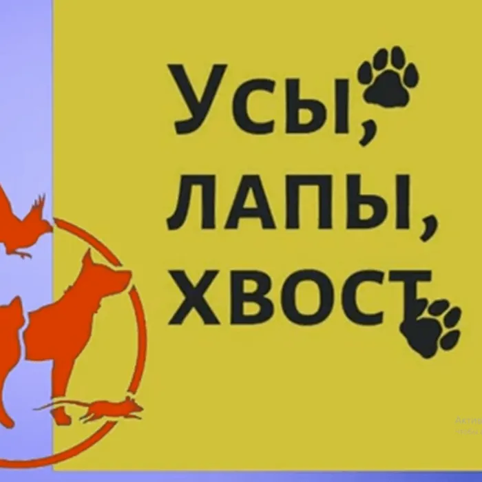 «УСЫ, ЛАПЫ, ХВОСТ»