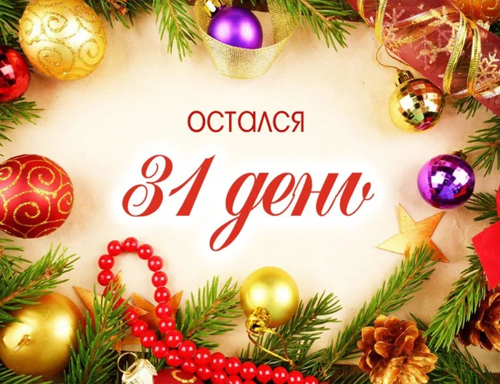 остался 31 деньjpg